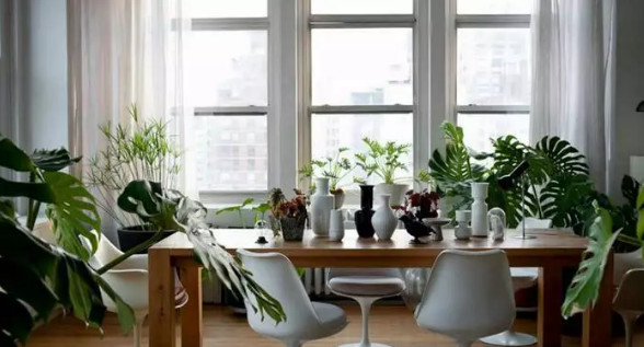 16850678311367.jpeg a104.jpeg