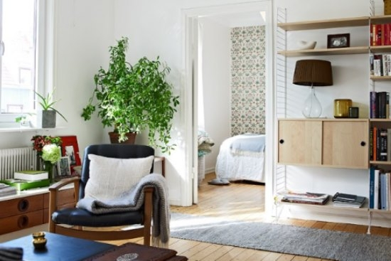 16850704799549.jpeg a114.jpeg